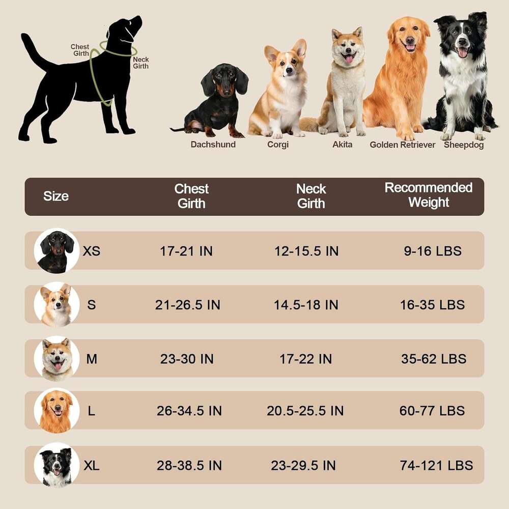 DHpet Wholesale Pet Chest Harness For Medium And Large Dogs Reflective Explosion-proof Vest Dog Traction Rope