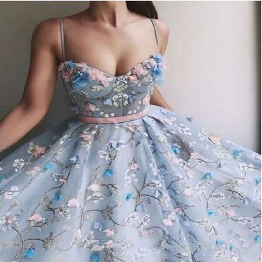 Light Blue Organza Prom Dress 2024: Embroidery Ral Evening Formal Party Dresses