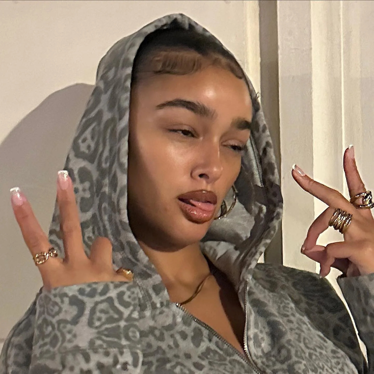 High Street Y2K Pullover Hoodie Women Gothic 90s Leopard Hoodie Set Streetwear Sweatshirt Vintage Clothing Punk Loose Hip Hop 250225