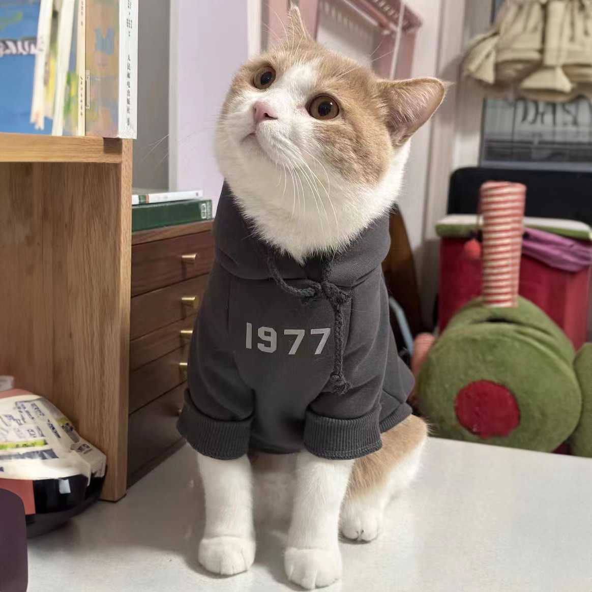 Stylish Spring/Fall Pet Clothes for Dogs & Cats - Cute Fleece Outfits for Ragdoll, British Shorthair