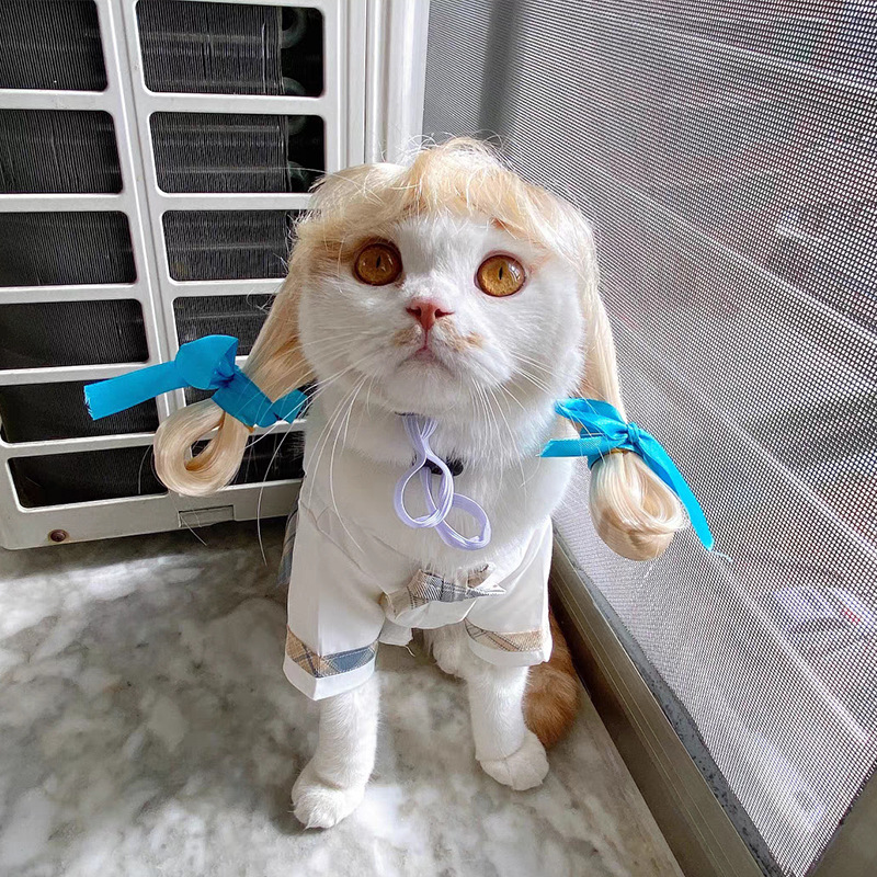 Pet Wig Dog Wig Cat Wig Pet Supplies Holiday Pet Accessories Qi Liuhai Explosion Head Manufacturer