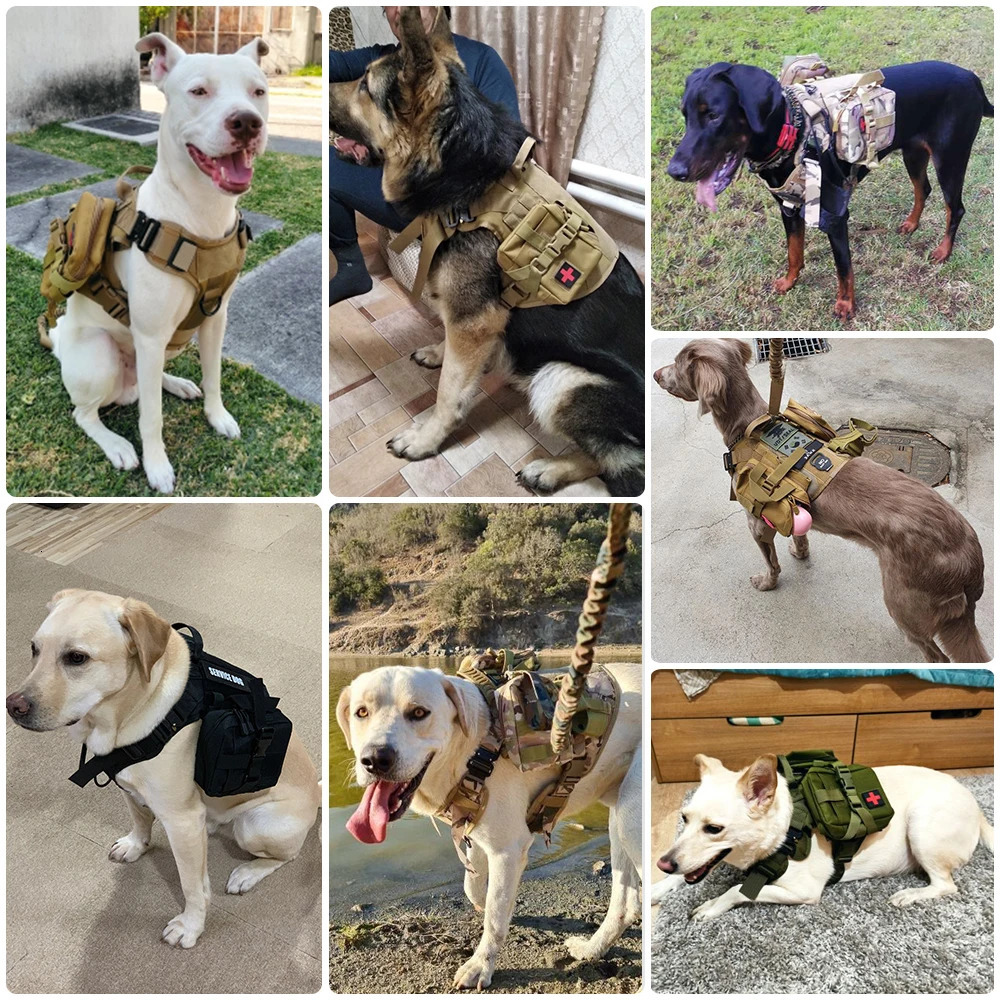 Large Dog Harness Collar Leash Set Military Dog Harnesses Pet Tactical Vest Training German Shepherd For Medium Large Dogs 250224