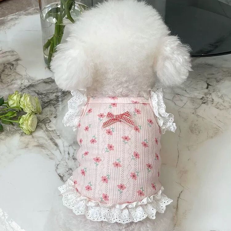 Princess Lace Dog Dress & Windproof Jacket Set - Stylish Outfits for Small Breeds, Teddy, Bichon, Schnauzer