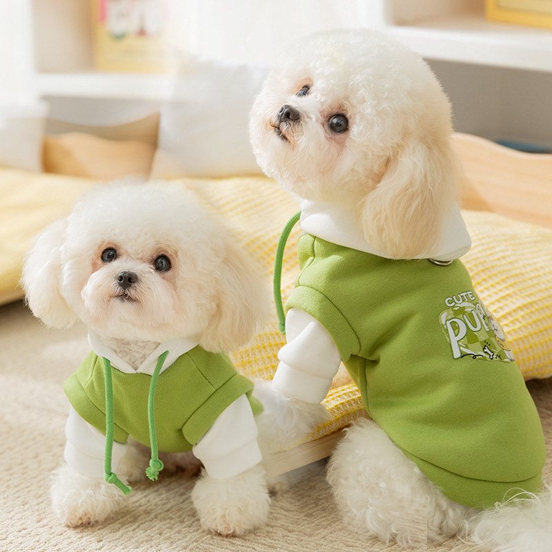 New Arrival! Trendy Hooded Pet Pullover for Small Dogs like Bichons and Cats. Ideal for Autumn and Winter, keeps your furry friends warm in style with
