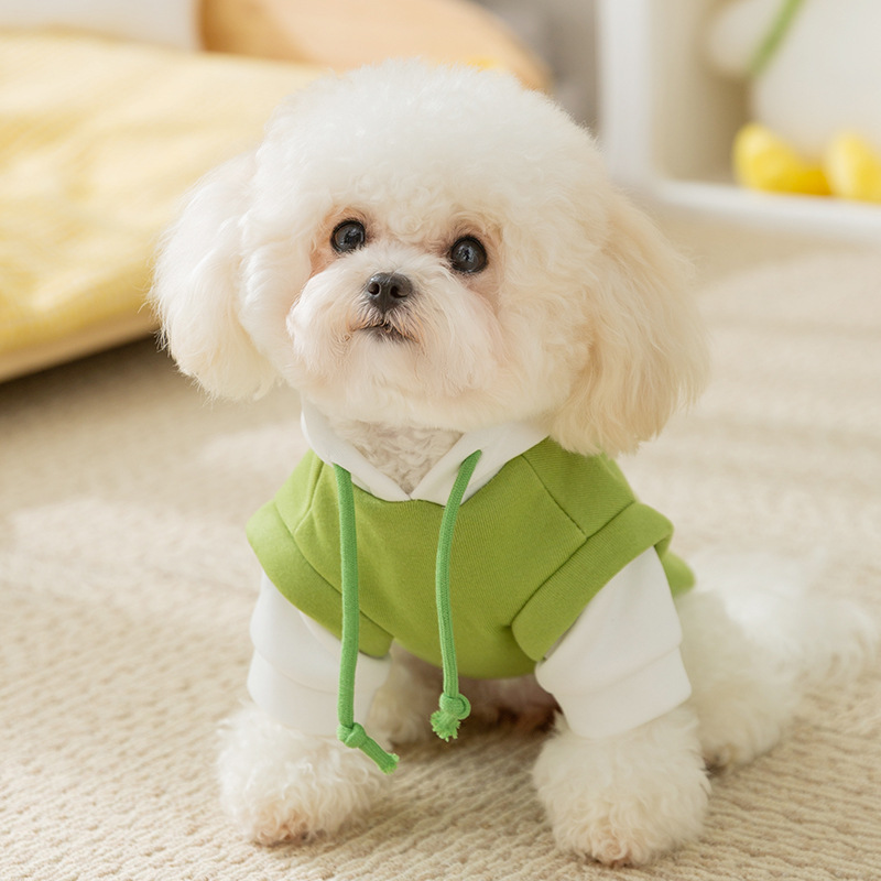 New Arrival! Trendy Hooded Pet Pullover for Small Dogs like Bichons and Cats. Ideal for Autumn and Winter, keeps your furry friends warm in style with