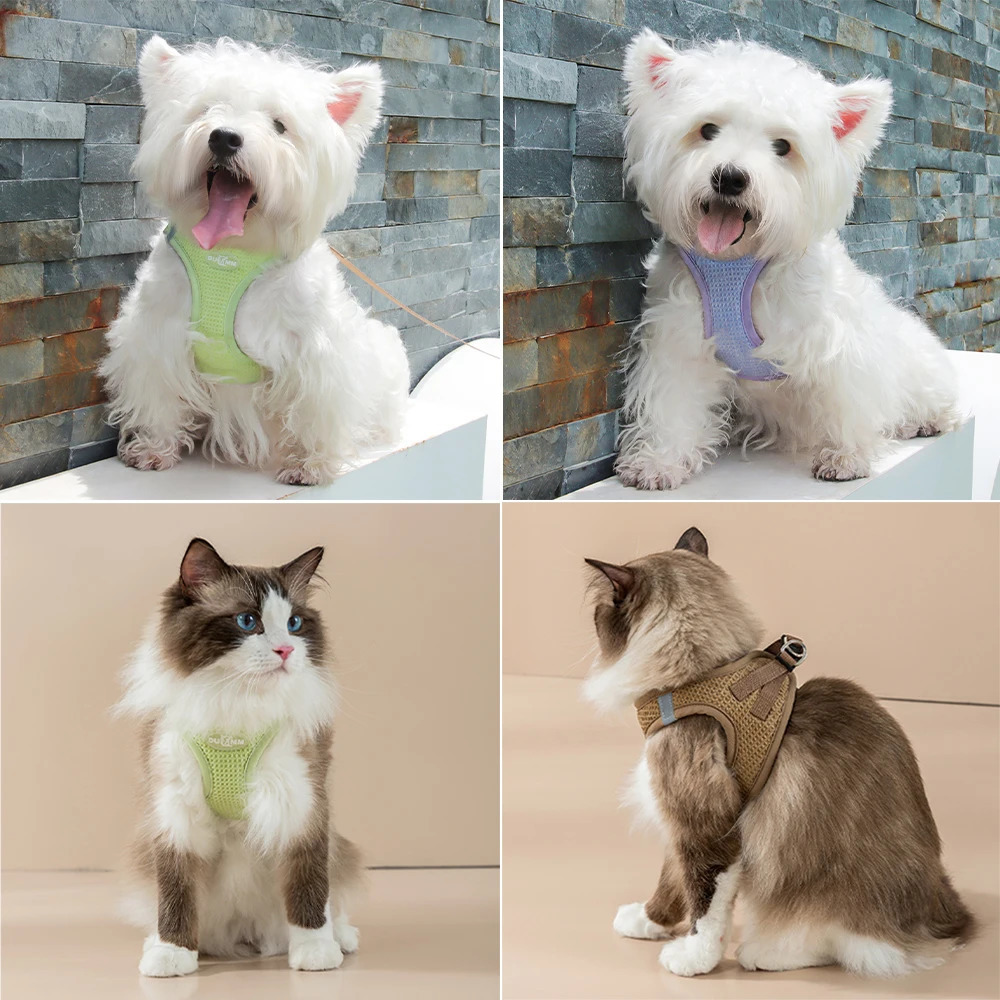 Puppy Cat Harness with Leash Breathable Waffle Pet Vest Clothes for Small Mid Dogs Cats Harness Collar Yorkshire Dog Accessories 250224