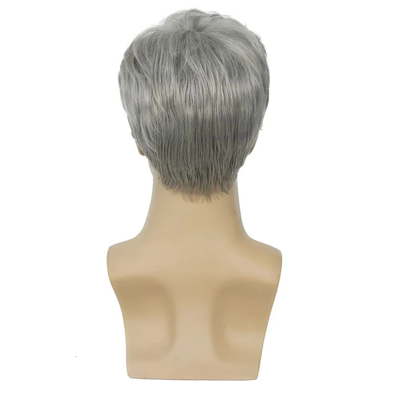 Sylhair Men Wigs Short Silver Gray Wig Male Guy Short Layered Cosplay Costume Party Synthetic Heat Resistant Natural Hair 250224