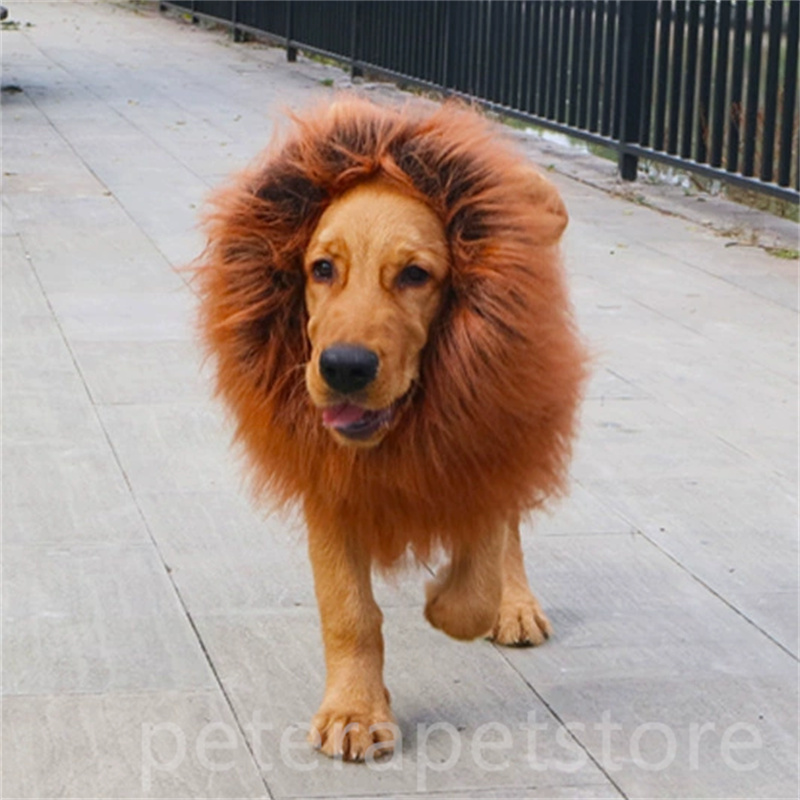 Pet dog funny plush lion head cover golden retriever funny transformation costume corgi wig pet hat