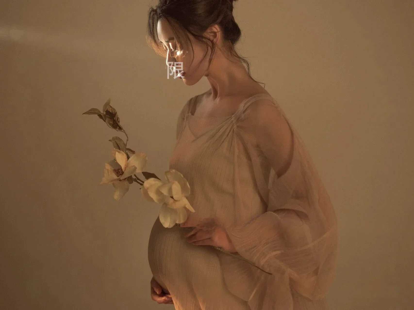 Women Photography Props Perspective Elegant Maternity Dresses Beige Mesh Pregnancy Dress Studio Shooting Photo Props X250224