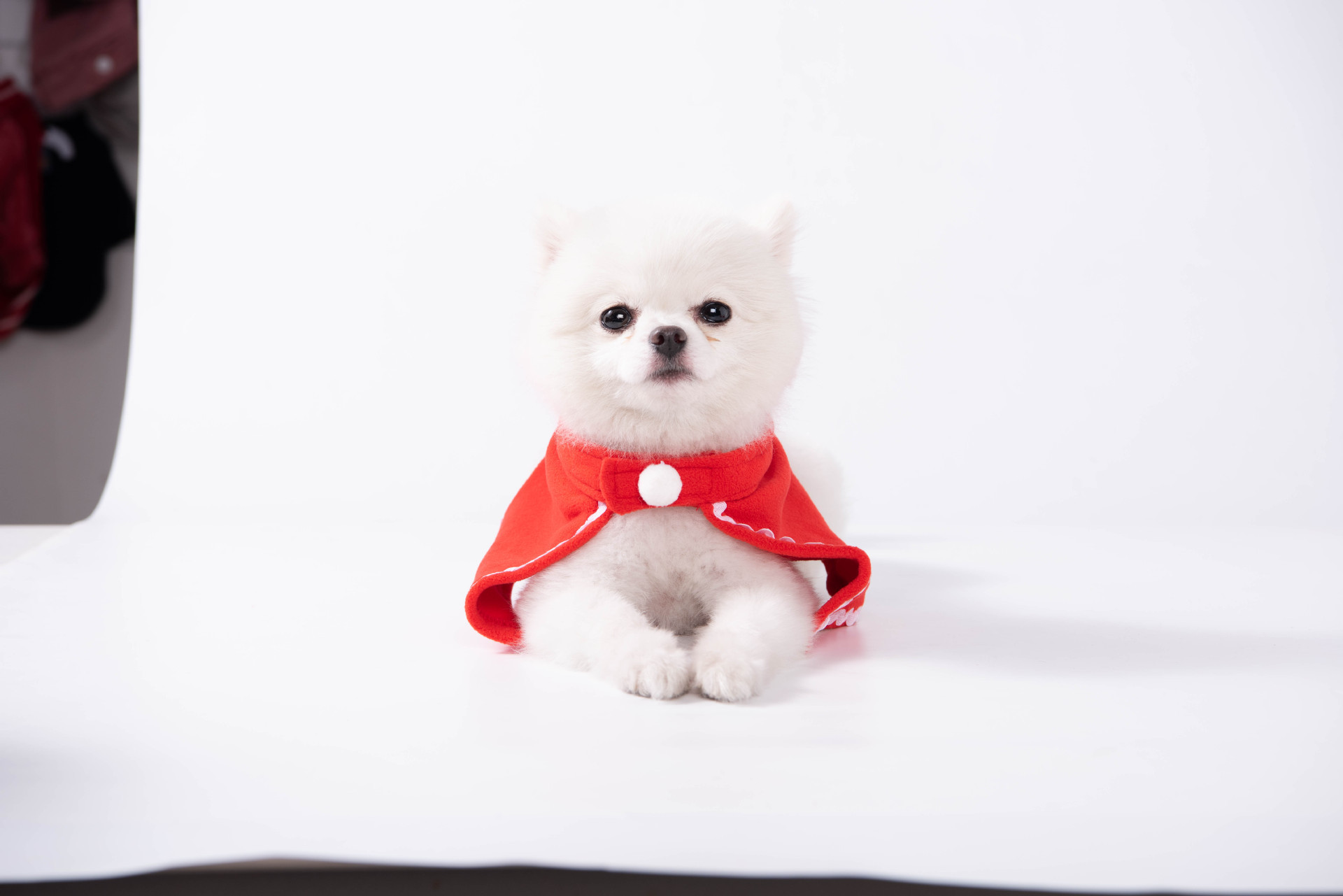 Cat and dog hats, headwear, cloaks, scarves, shapewear, universal cloaks, Christmas clothes wholesale