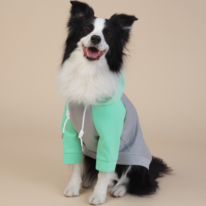 Year - Round Two - Legged Zip - Up Hoodie Suitable for Medium and Large Dogs in a Non - Gender - Specific Style