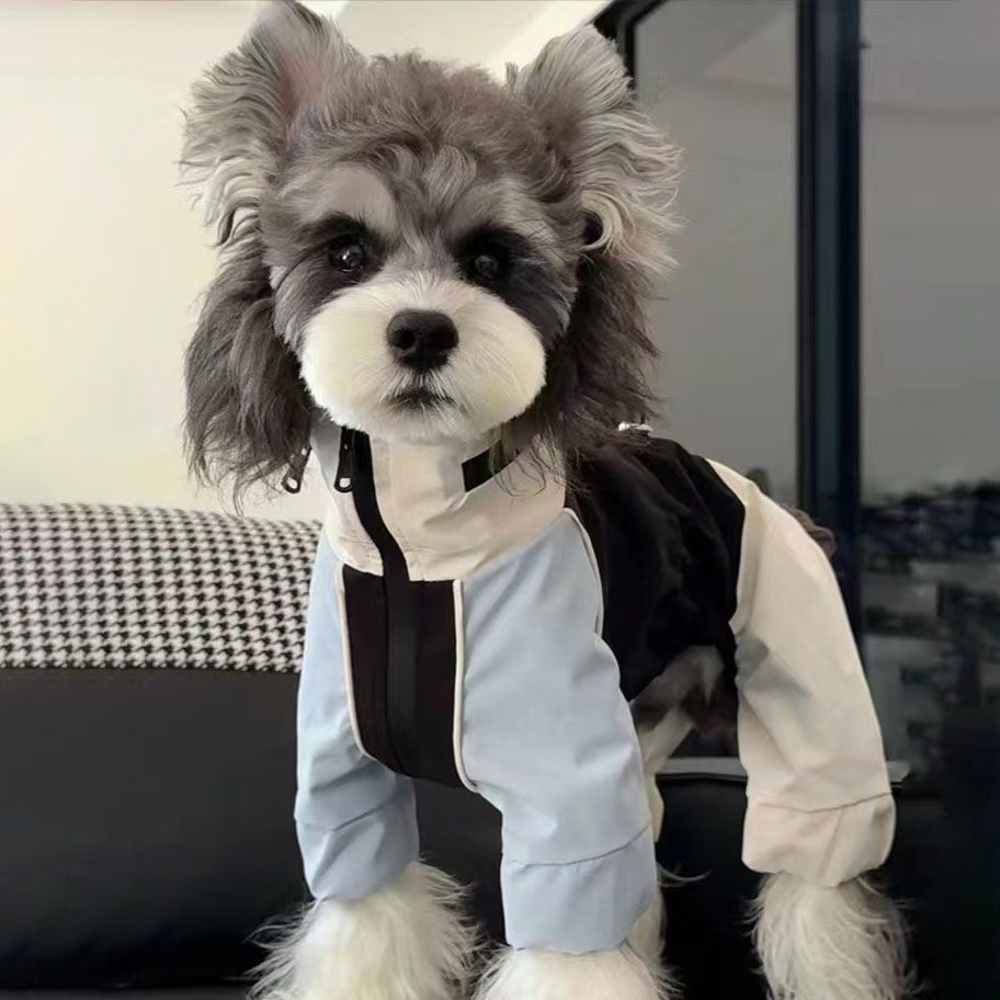 Windproof Dog Jacket for Small Medium Dogs - Stylish & Warm Four-Legged Coat for Teddy Bichon Schnauzer