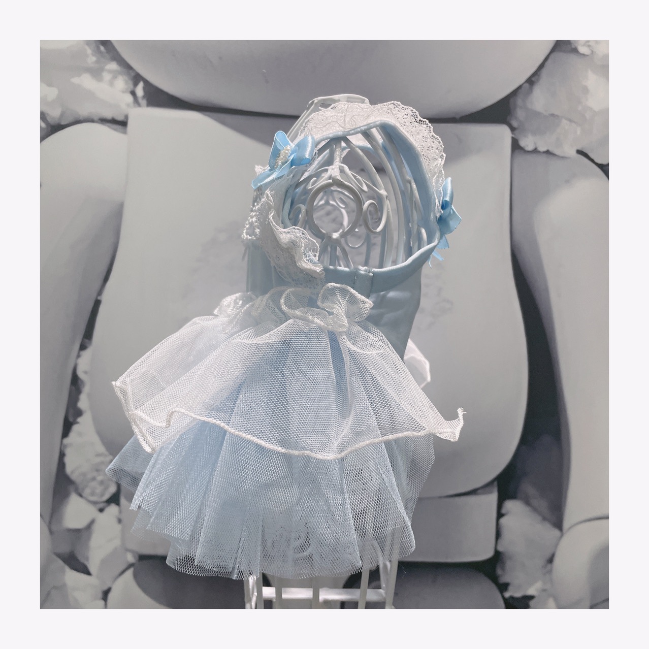 Designer Princess Dog Lace Dress Spring Summer Pet Dresses Sweety Butterfly Party Clothes for Small Dogs