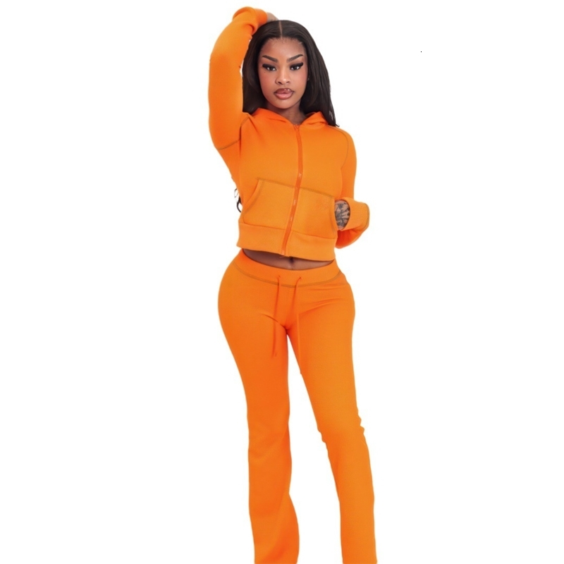 Womens Tracksuits Two Pieces Set 2025 New Fashionable And Elegant Huafuge Hooded Sportwear 3 Colors