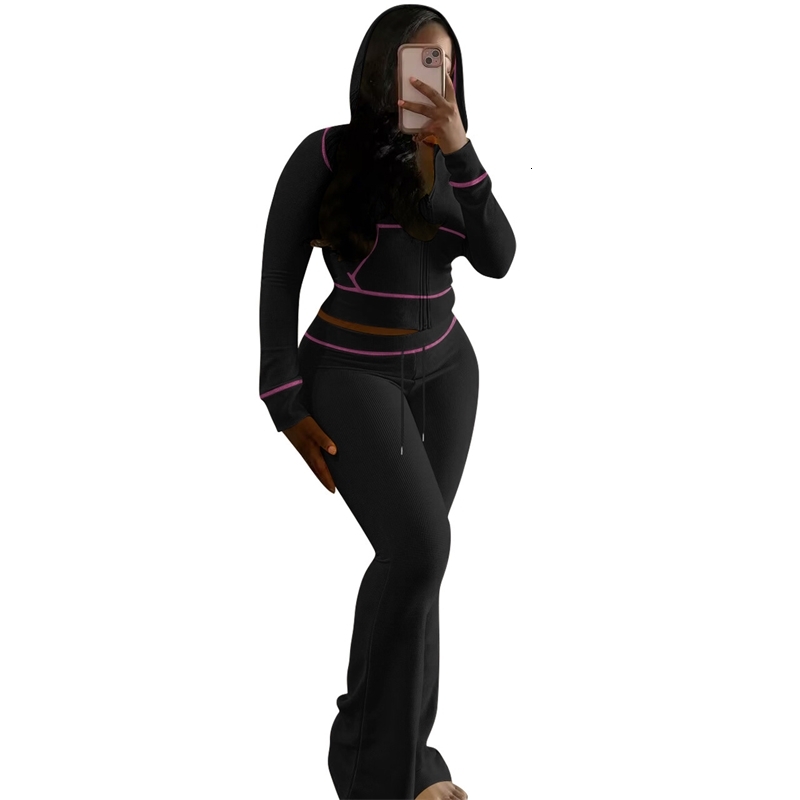Womens Tracksuits Two Pieces Set 2025 New Fashionable And Elegant Huafuge Hooded Sportwear 3 Colors