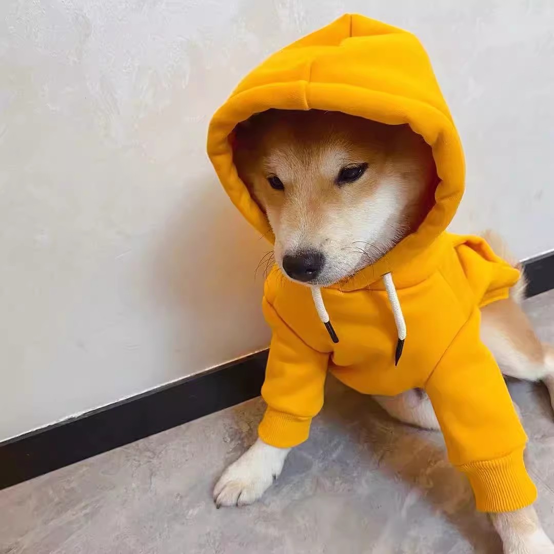 OEM Custom Fruit - Themed Transforming Fleece Hoodies for Small, Medium & Large Dogs and Cats - Ideal Autumn - Winter Pet Supplies