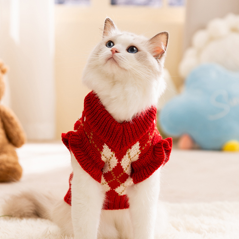 Autumn-Winter Collection: Adorable Pet Halloween Clothing Featuring a Cute Pumpkin Theme