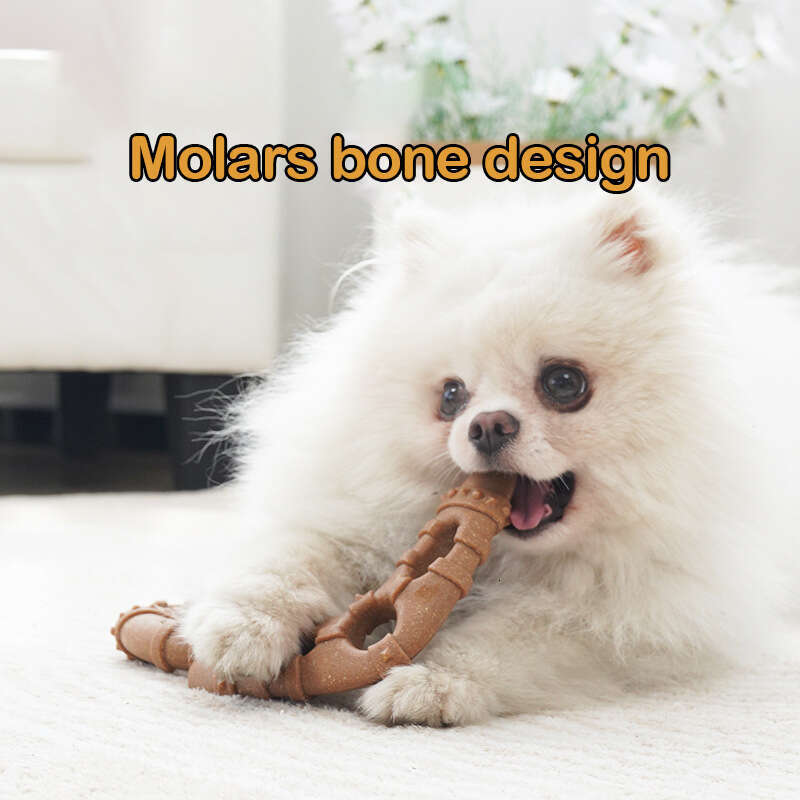 DHpet Bone Chew Toys Dogs Teething Cleaning, Safe & Non Toxic, Suitable Small, Medium and Large Breeds, Boomerang - shaped for Interactive Play