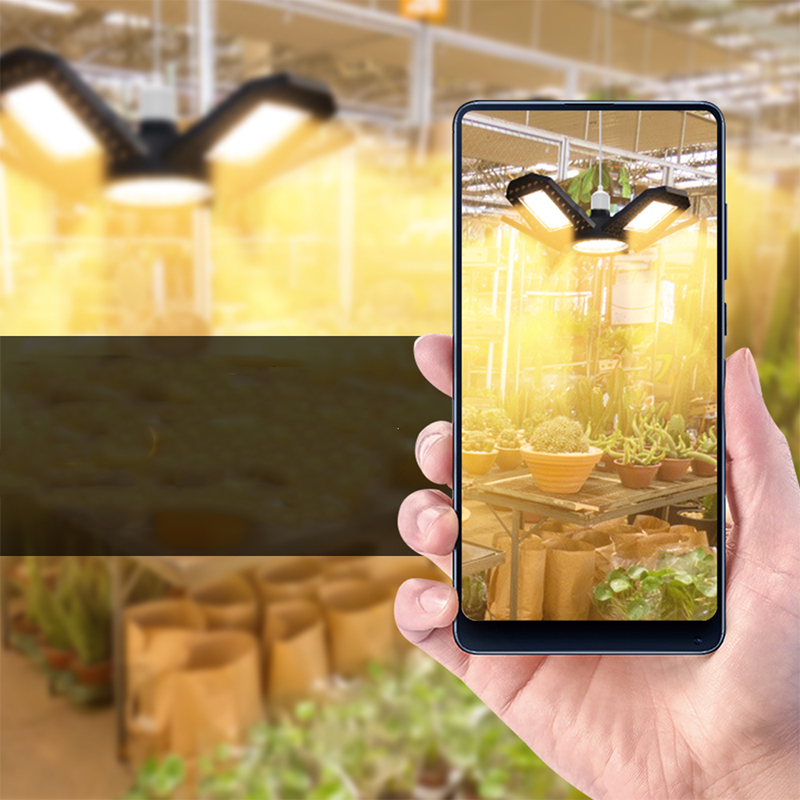 High-Quality LED grow Plant Light Fixture Suitable for All Plants, Versatile Installation Options (100-277 V)