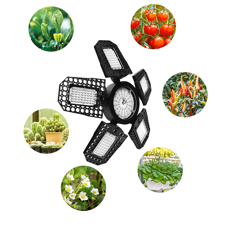 High-Quality LED grow Plant Light Fixture Suitable for All Plants, Versatile Installation Options (100-277 V)