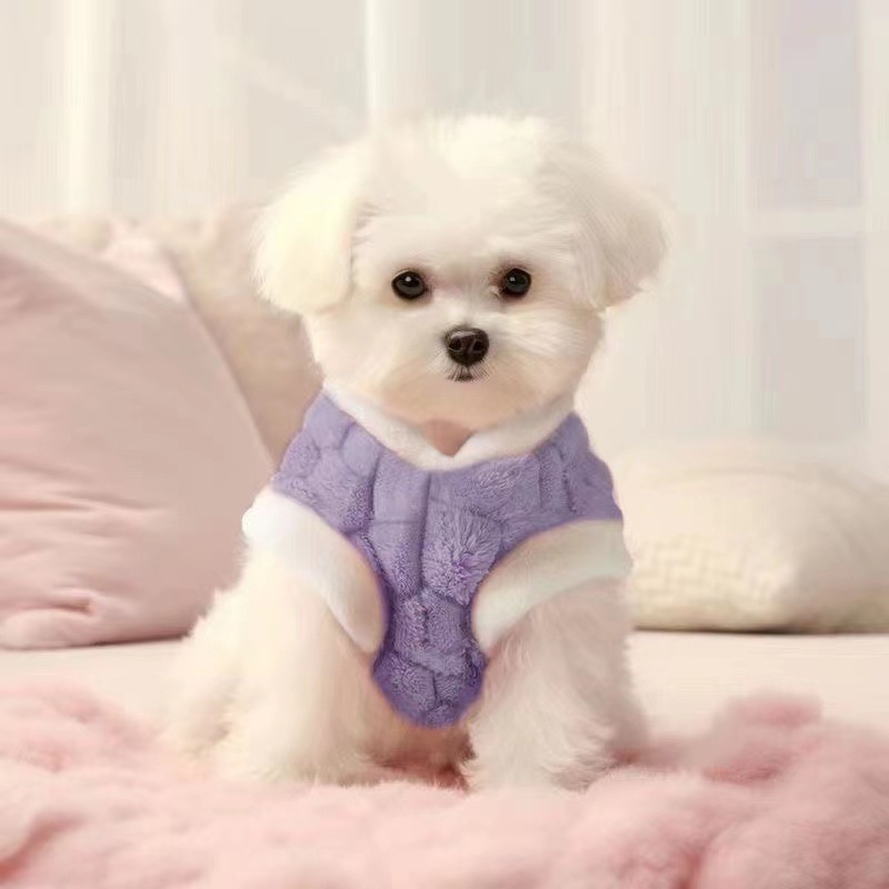Cute All - Over - Print Mesh Harness Vests for Cats in Spring and Summer. Thin and Anti - Shedding, Perfect for Ragdolls, British Shorthairs and Ameri