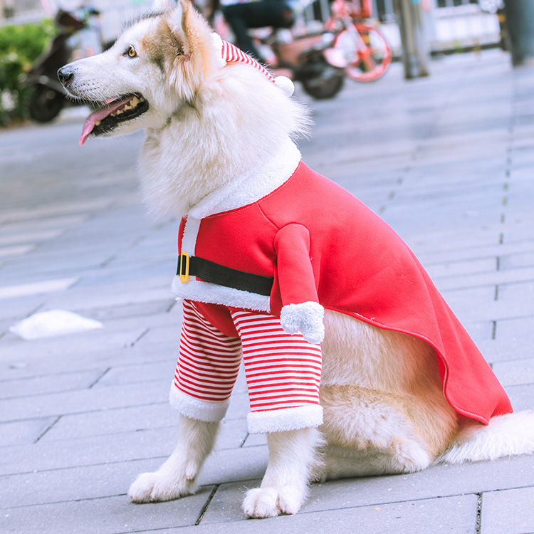 Hilarious Santa Claus - Themed Fleece Two - Legged Transforming Outfits for Medium and Large Dogs, Cats Included! Perfect Autumn - Winter Pe
