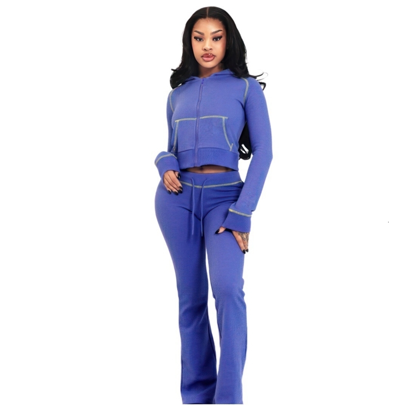 Womens Tracksuits Two Pieces Set 2025 New Fashionable And Elegant Huafuge Hooded Sportwear 3 Colors