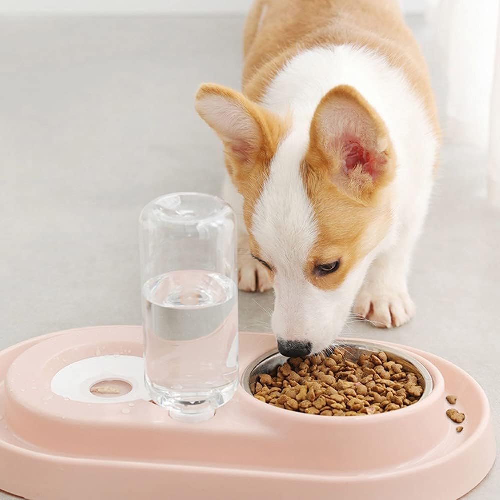 Pet water and food bowl set with automatic water dispenser bottle Detachable stainless steel bowl spill-proof pet feeder