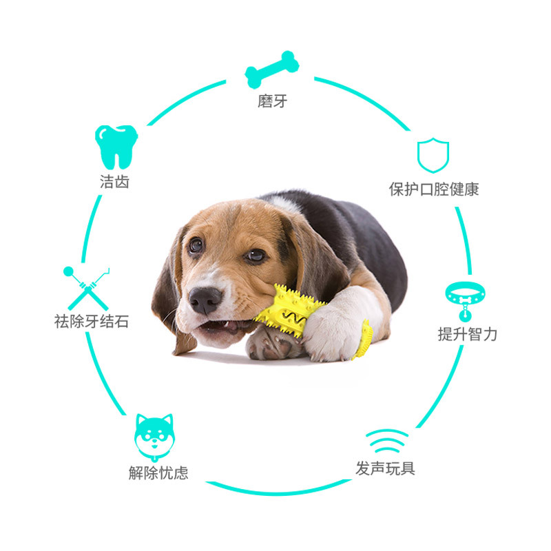 Dog toy teether, bite resistant, teeth cleaning dog toothbrush, food dispenser dog toys grinding rods, bite resistant teeth, bone cleaning toothbrushe