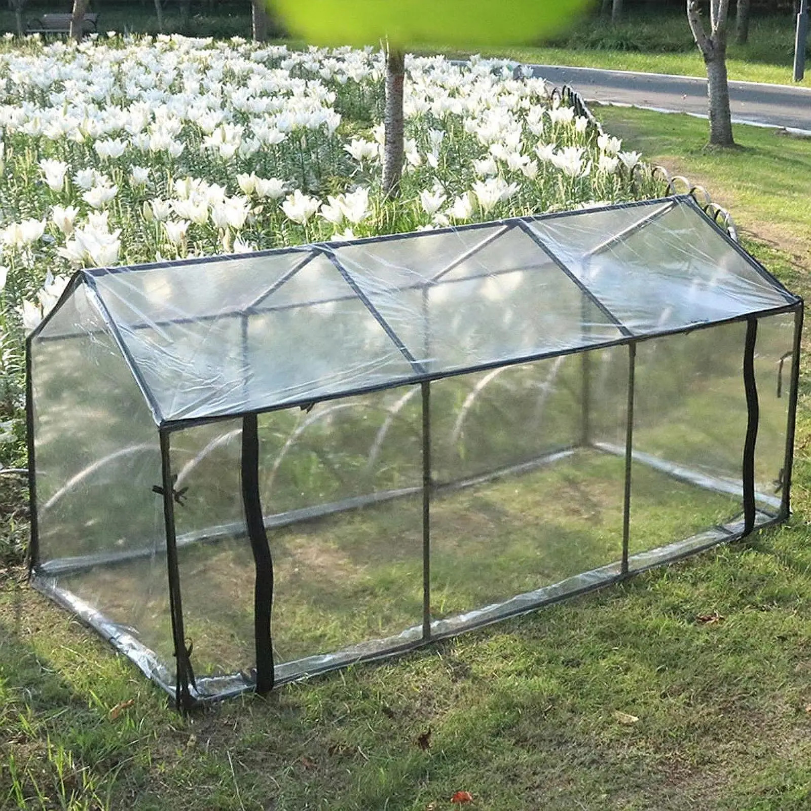Mini Greenhouse Garden Nursery Plant Cover Portable Green House Kit Clear Tent for Plants Outside Backyard Vegetables Flowers 250225