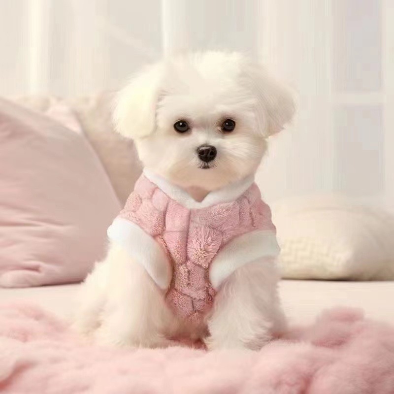 Cute All - Over - Print Mesh Harness Vests for Cats in Spring and Summer. Thin and Anti - Shedding, Perfect for Ragdolls, British Shorthairs and Ameri