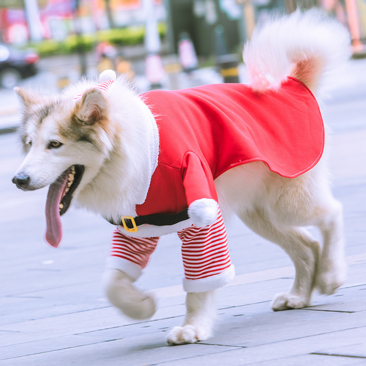 Hilarious Santa Claus - Themed Fleece Two - Legged Transforming Outfits for Medium and Large Dogs, Cats Included! Perfect Autumn - Winter Pe