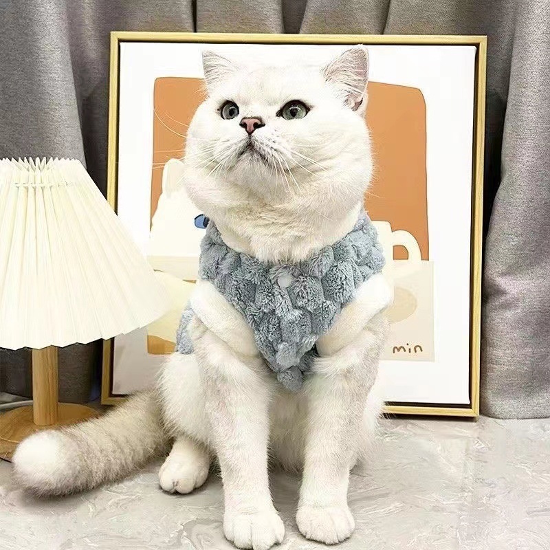 Autumn-Winter Collection of Unique Animal Themed Apparel Transform Your Pup with Our Novelty Garments