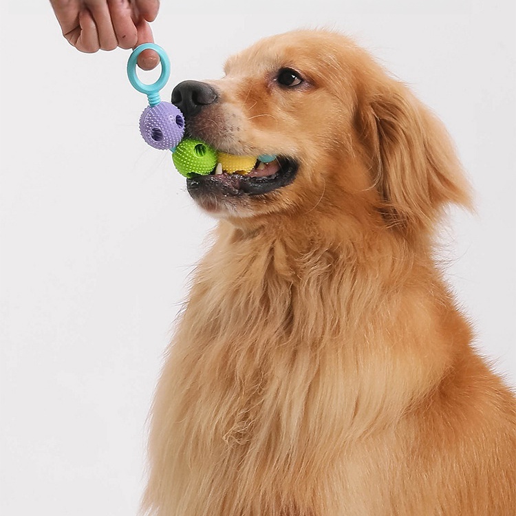 Dog toy teether , bite resistant, teeth cleaning dog toothbrush, food dispenser dog toys grinding rods, bite resistant teeth, bone cleaning toothbrush
