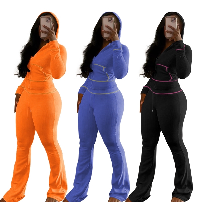 Womens Tracksuits Two Pieces Set 2025 New Fashionable And Elegant Huafuge Hooded Sportwear 3 Colors