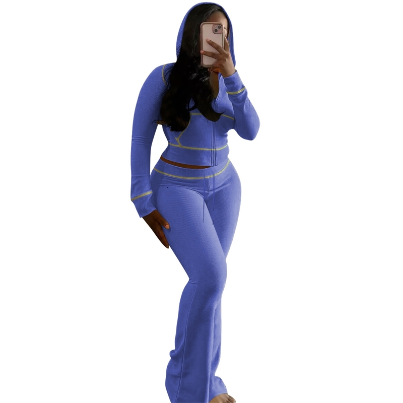 Womens Tracksuits Two Pieces Set 2025 New Fashionable And Elegant Huafuge Hooded Sportwear 3 Colors