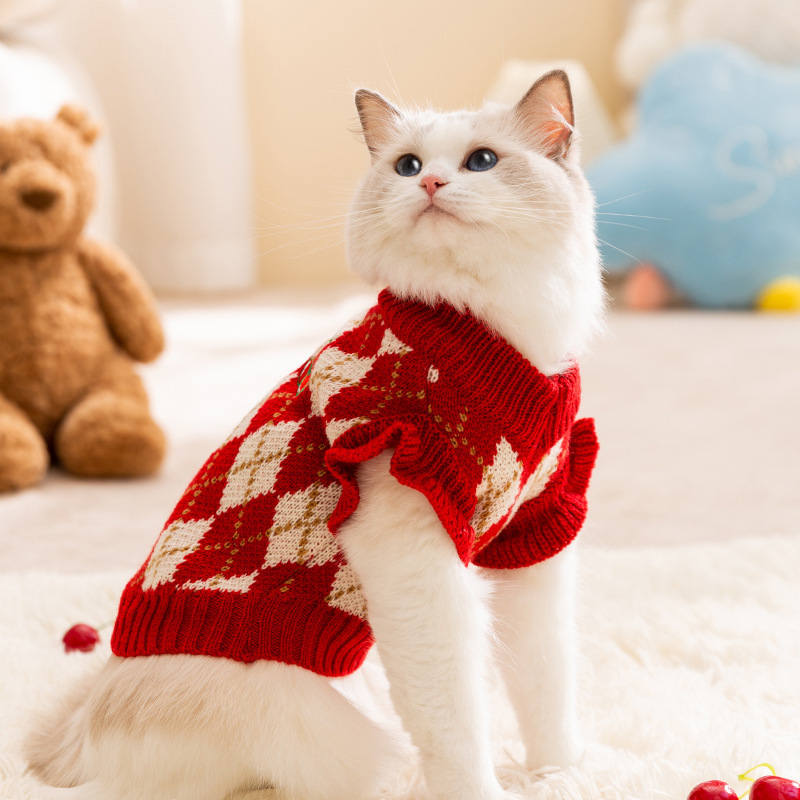 Autumn-Winter Collection: Adorable Pet Halloween Clothing Featuring a Cute Pumpkin Theme
