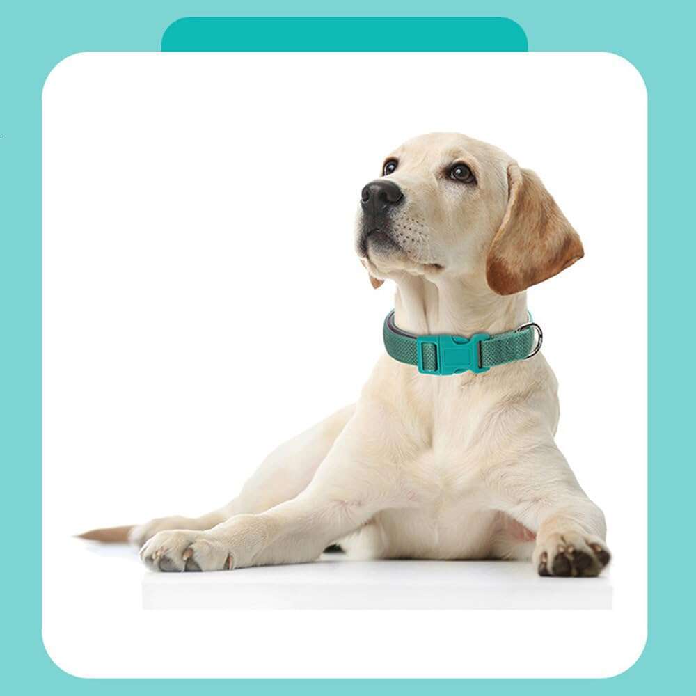 DHpet Full Reflective Dog Collar Adjustable Soft Padded Nylon Pet Quick Release Buckle Working Collars for Small Medium Large Dogs