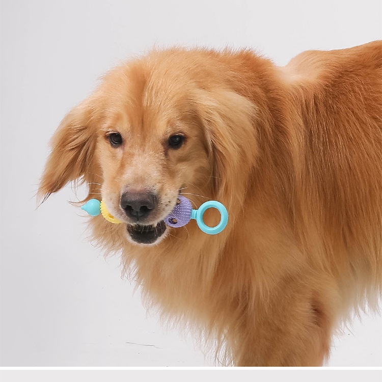 Dog toy teether , bite resistant, teeth cleaning dog toothbrush, food dispenser dog toys grinding rods, bite resistant teeth, bone cleaning toothbrush