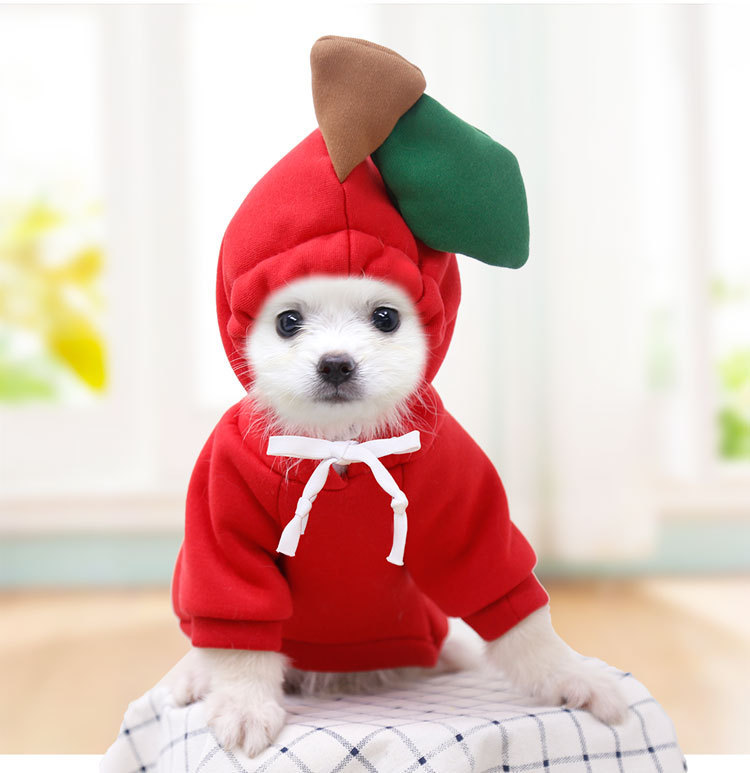 OEM Customizable Adorable Frog - Themed Fleece Hoodies for Dogs and Cats! Available in Sizes for Small, Medium, and Large Breeds, Ideal for