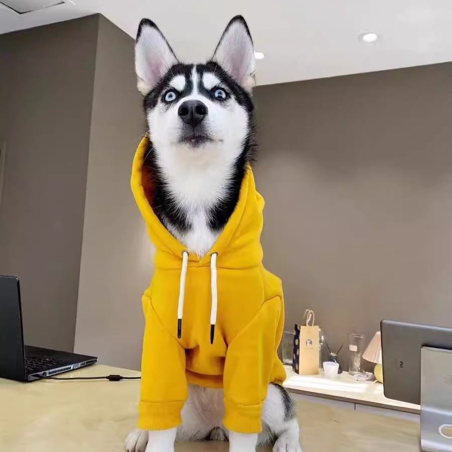 OEM Custom Fruit - Themed Transforming Fleece Hoodies for Small, Medium & Large Dogs and Cats - Ideal Autumn - Winter Pet Supplies