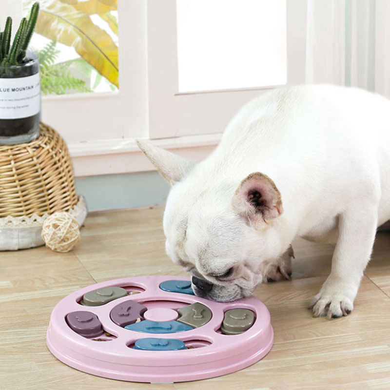 Pet Boredom - Busting Toys: Puzzle - style Slow - feeder Bowls for Dogs to Hunt for Treats, and Anti - Choking Bowls for Cats