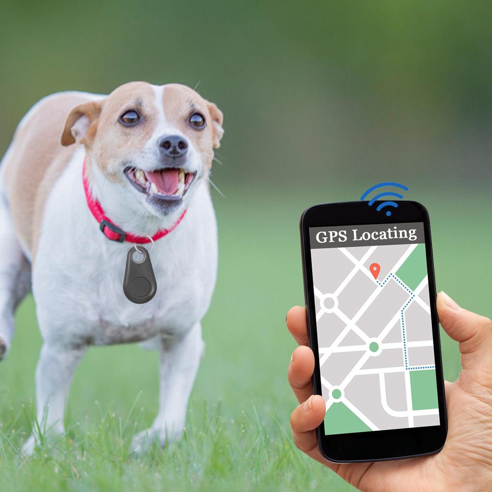 Smart Dog Bluetooth Locator Pet GPS Tracker Pet Cat Dog Collar Alarm Remote Shutter Release Automatic Wireless Tracker For Pets