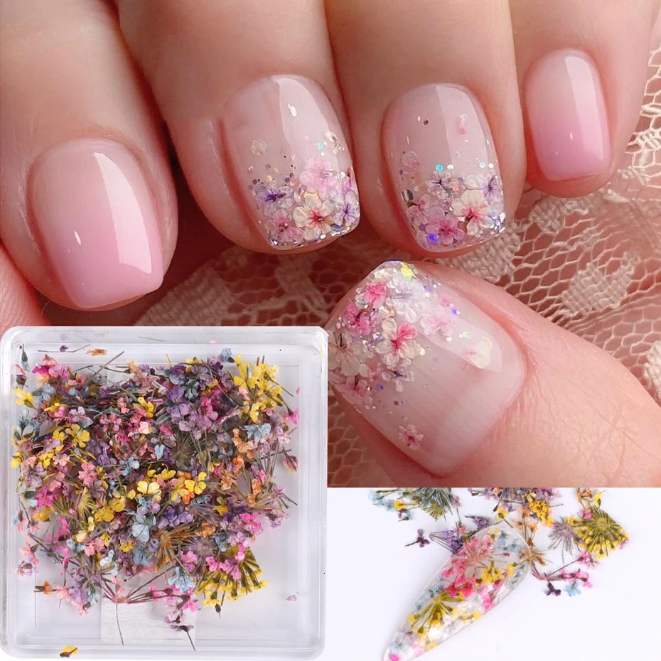 1Box Nail Art Flower Decoration Exquisite 3D Dried Accessories 250217