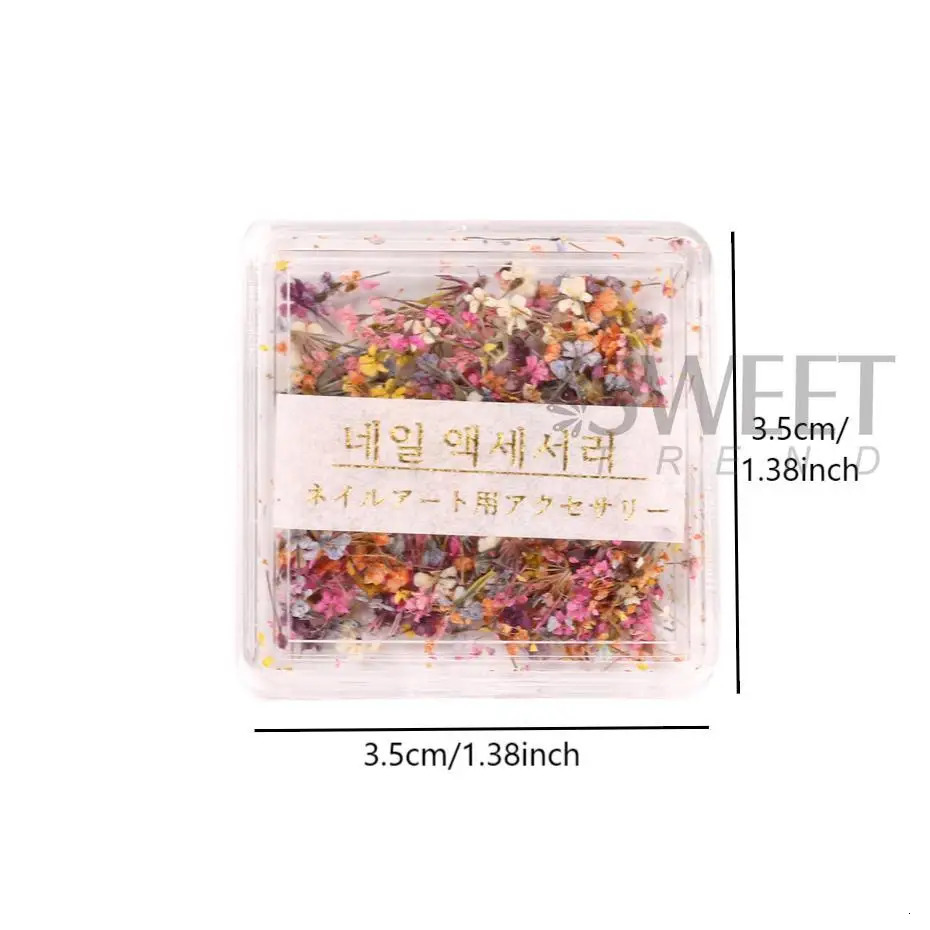1Box Nail Art Flower Decoration Exquisite 3D Dried Accessories 250217