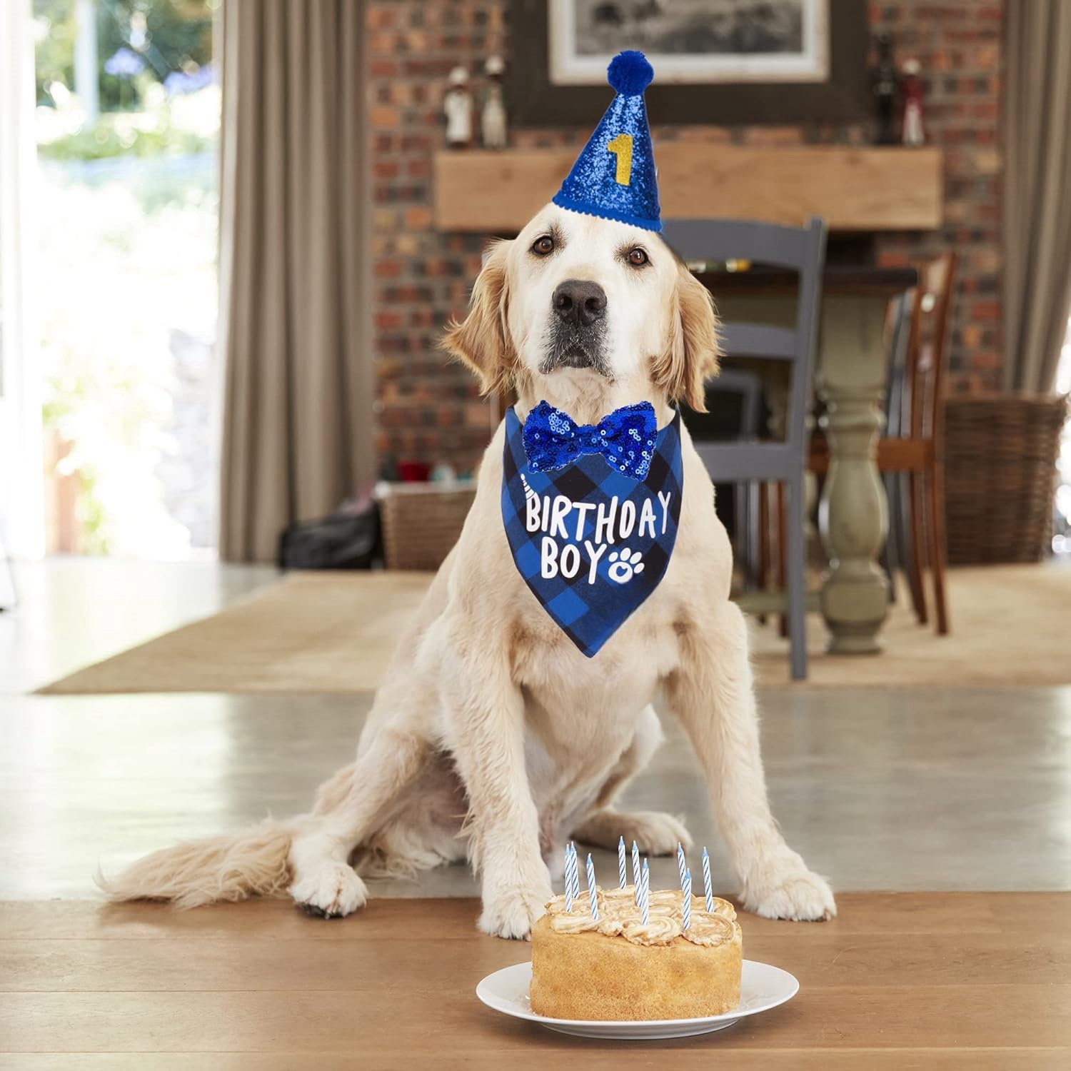 Dog Birthday Party Supplies, Multi Size Offered, Birthday Boy Dog Bandana, Dog Birthday Hat with Numbers for Medium Large Dogs Pets