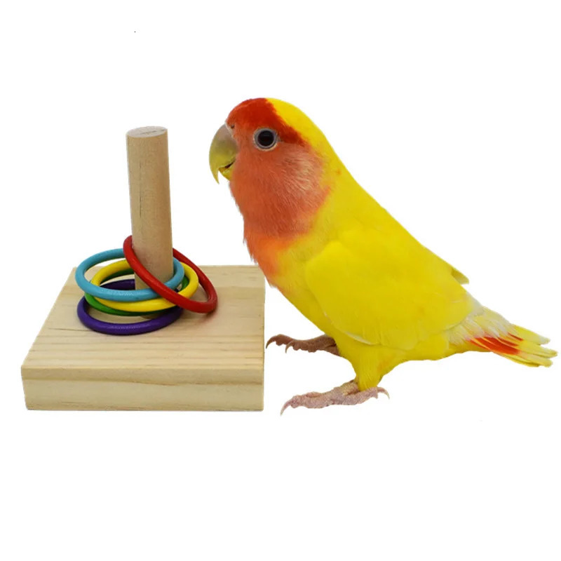 Bird Training Toys Set Wooden Block Puzzle Toys For Parrots Colorful Plastic Rings Intelligence Training Chew Toy Bird Supplies 250226