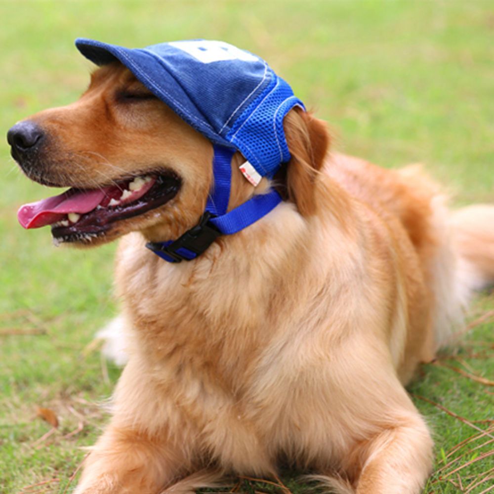 For Small Medium Large Dogs Adjustable Breathable Sports Mesh Sun Hat Summer Hat Dog Baseball Cap Pet Accessories