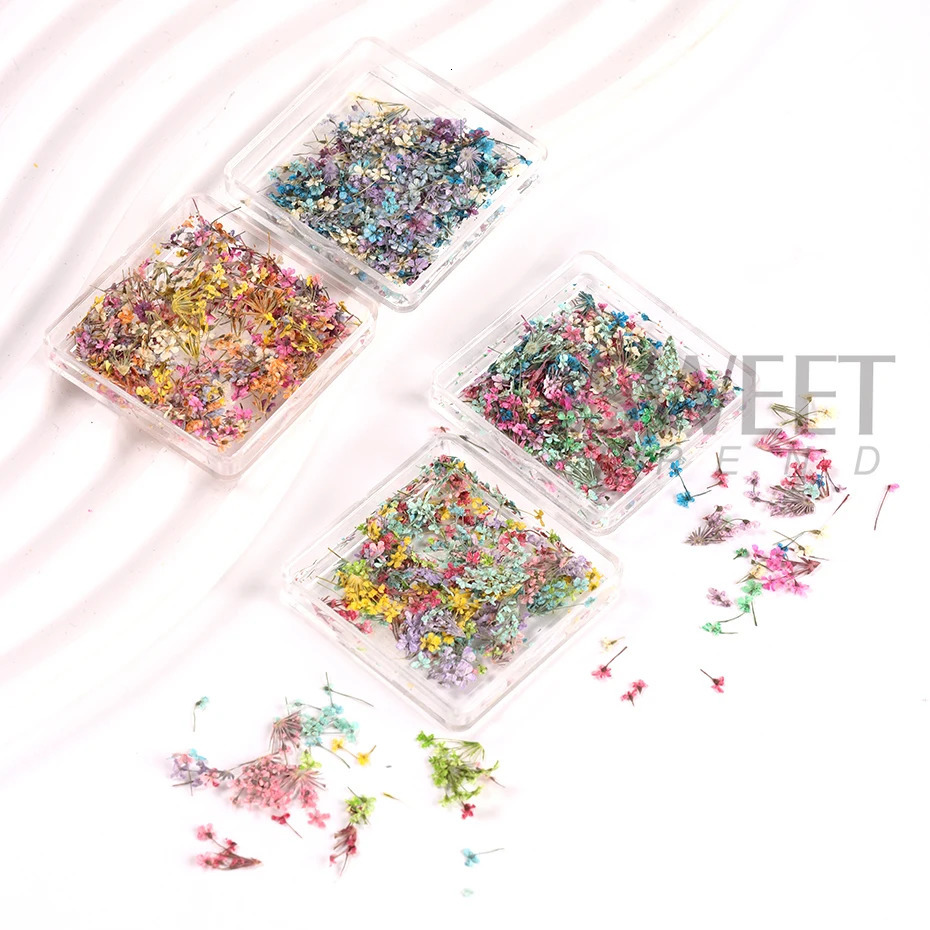 1Box Nail Art Flower Decoration Exquisite 3D Dried Accessories 250217