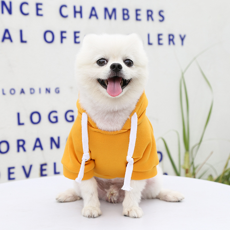 Fall & Winter Pet Clothes: Zipper - Pocket Hoodies for Small, Medium, and Large Dogs (including French Bulldogs) and Cats